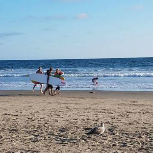 Meet your Posher, Suzy